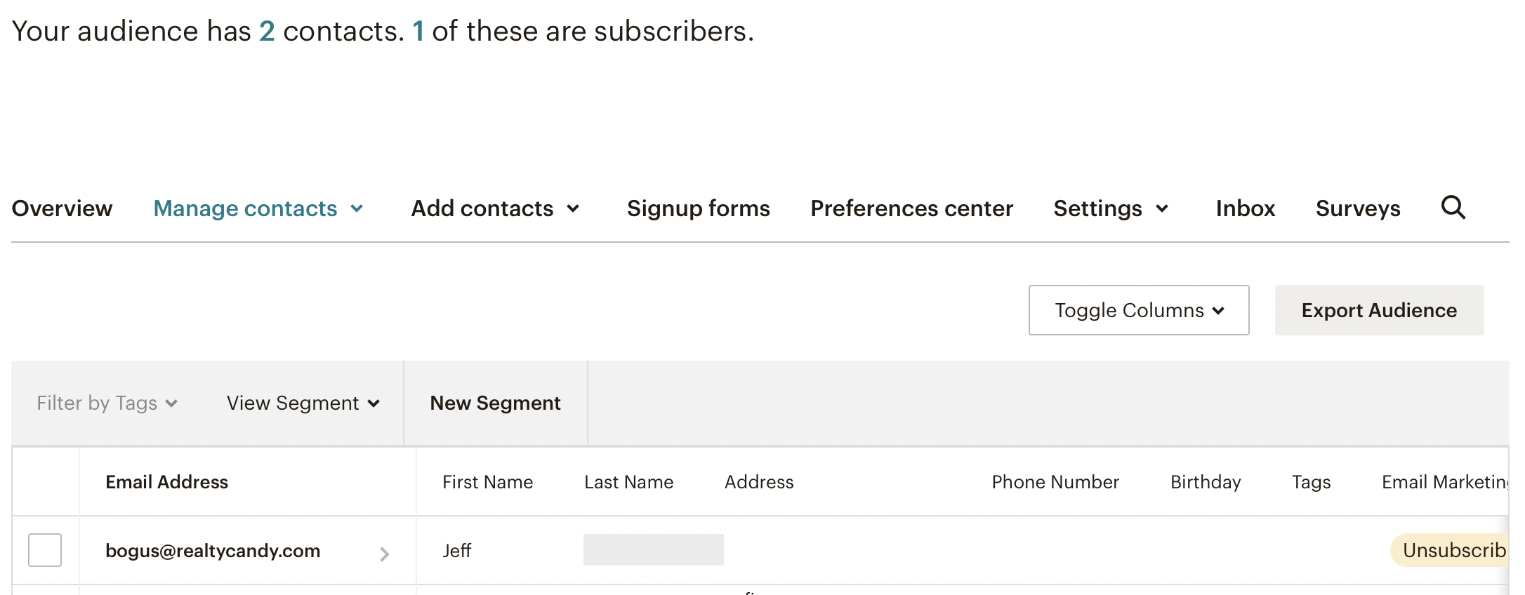 Exported leads in MailChimp