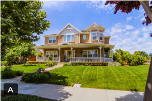 Image size of 254 pixels