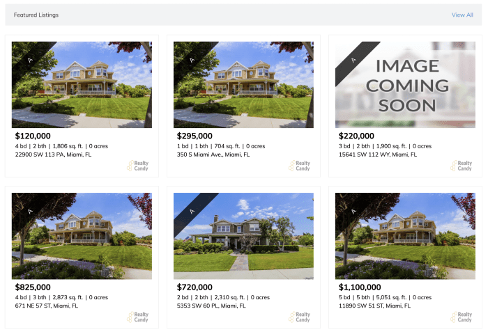Speedy IDX Widget preview with Flagship theme applied